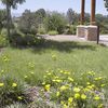 Tip Sheet for Buffalo Grass Lawn Establishment
