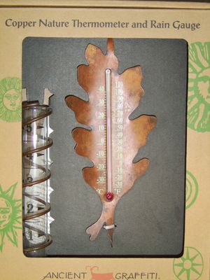 Rain Gauge & Thermometer