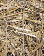 Erosion Blanket - Single Net - WinterStraw