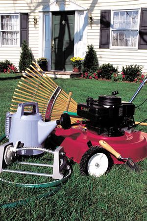 Spring Into Better Lawn Care